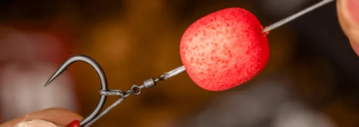 The 6 Best Winter Carp Baits For Cold Water Success